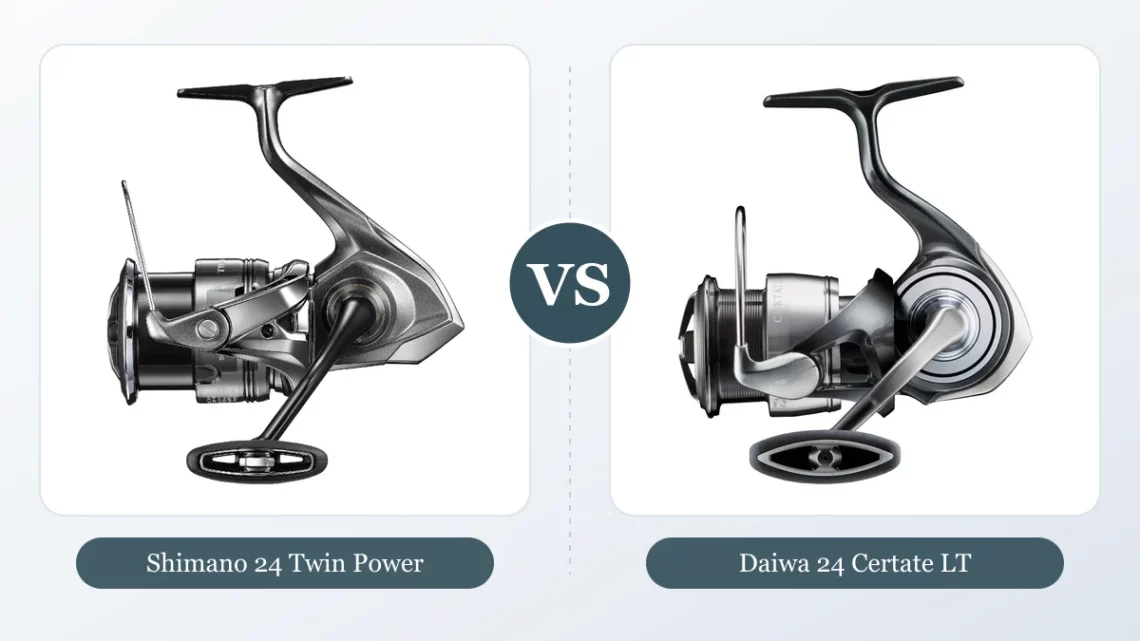 Shimano Twin Power ou Daiwa Certate : lequel choisir ?